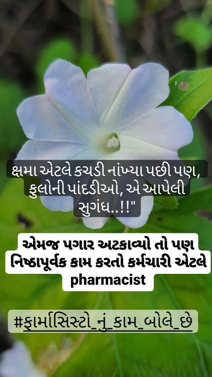 Rxbrijeshrathod's tweet photo. #ફાર્માસિસ્ટો_નું_કામ_બોલે_છે
હોસ્પિટલમાં ફાર્માસિસ્ટોનો ભૂમિકા મહત્વપૂર્ણ છે.
તેઓ દવાઓની ચકાસણી, ડોઝની ગણતરી, દવાઓના કાર્ય કરવાની રીત અને આડઅસરો વિશે માહિતી આપે છે. તેઓ દર્દીઓના સ્વાસ્થ્યની સુરક્ષામાં મહત્વપૂર્ણ ભૂમિકા ભજવે છે.
@CMOGuj 
@irushikeshpatel 
@RemyaMohanIAS
@YAJadeja https://t.co/mt1LXT5LcR