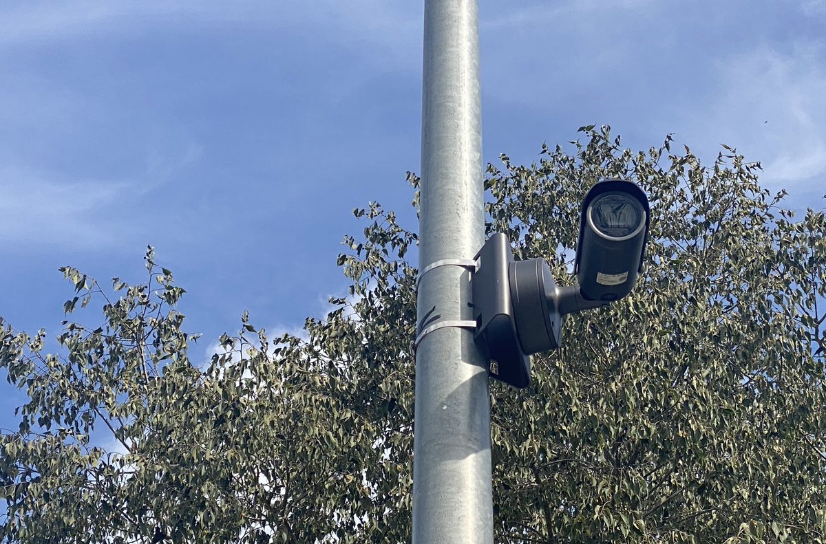 Clàudia Serra Domènech tweet media