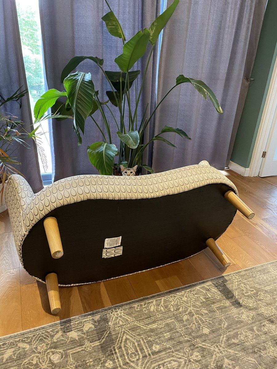 Claudia Money tweet media