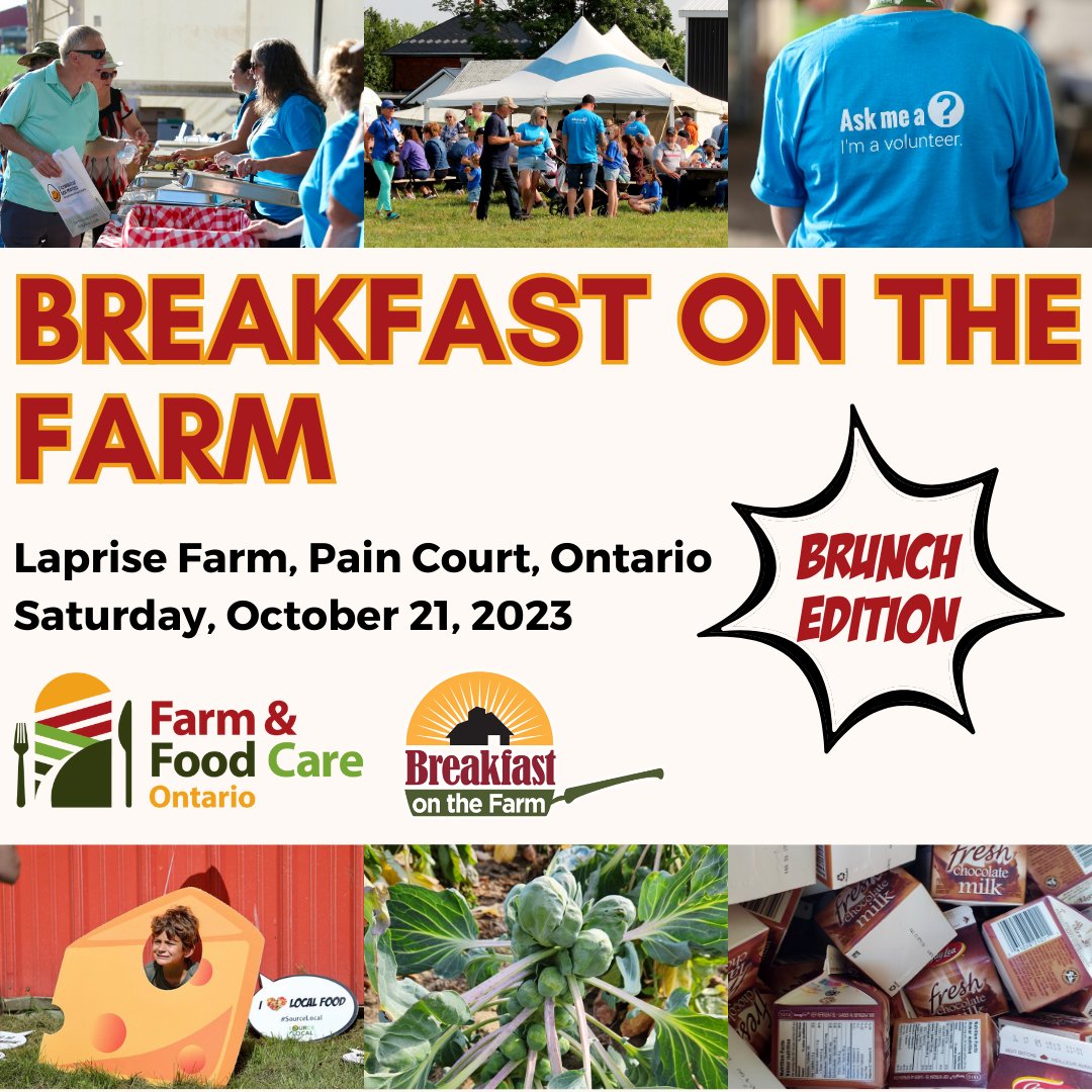 THREE days until we reveal a BRAND NEW way to experience Breakfast on the Farm: Brunch Edition! 
Get ready to enjoy a full and flavorful morning in Chatham-Kent. Here's a hint - you don't want to miss this one
