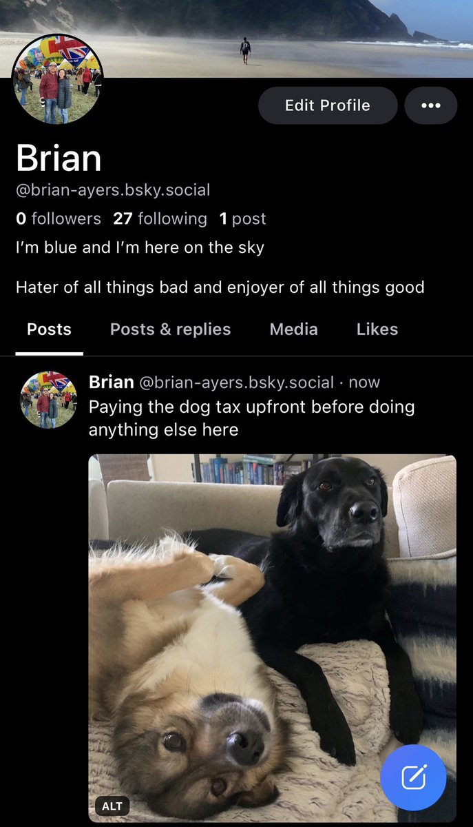 TheAverageBrian's tweet image. A kind stranger has helped me get onto the old Blüski

Find me there!