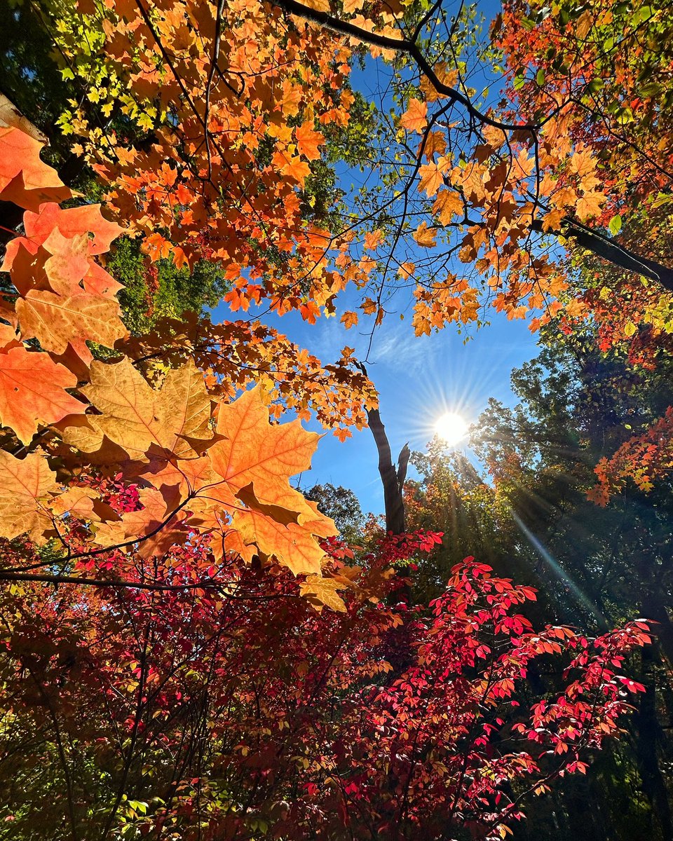 Mike Brookbank tweet media