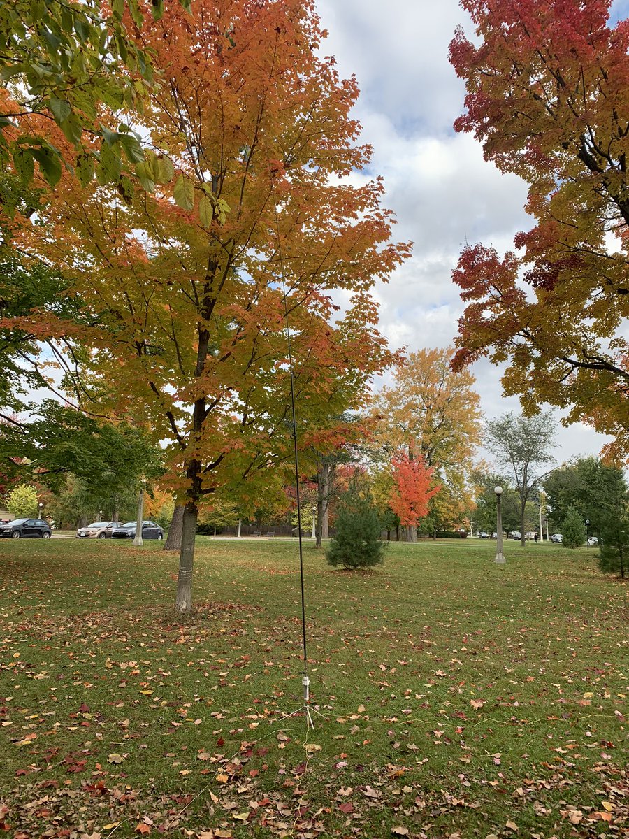 Kieran Shepherd tweet media