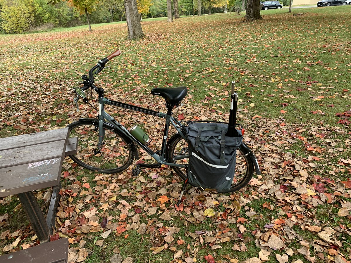 Kieran Shepherd tweet media