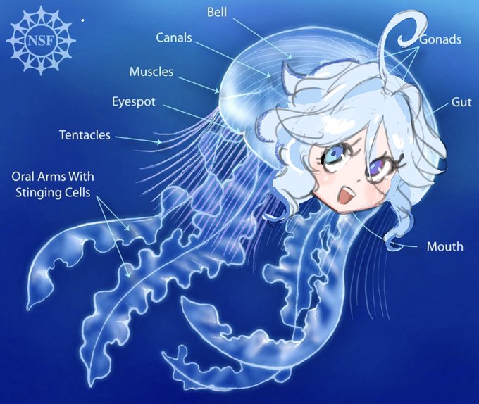 「jellyfish open mouth」 illustration images(Latest)