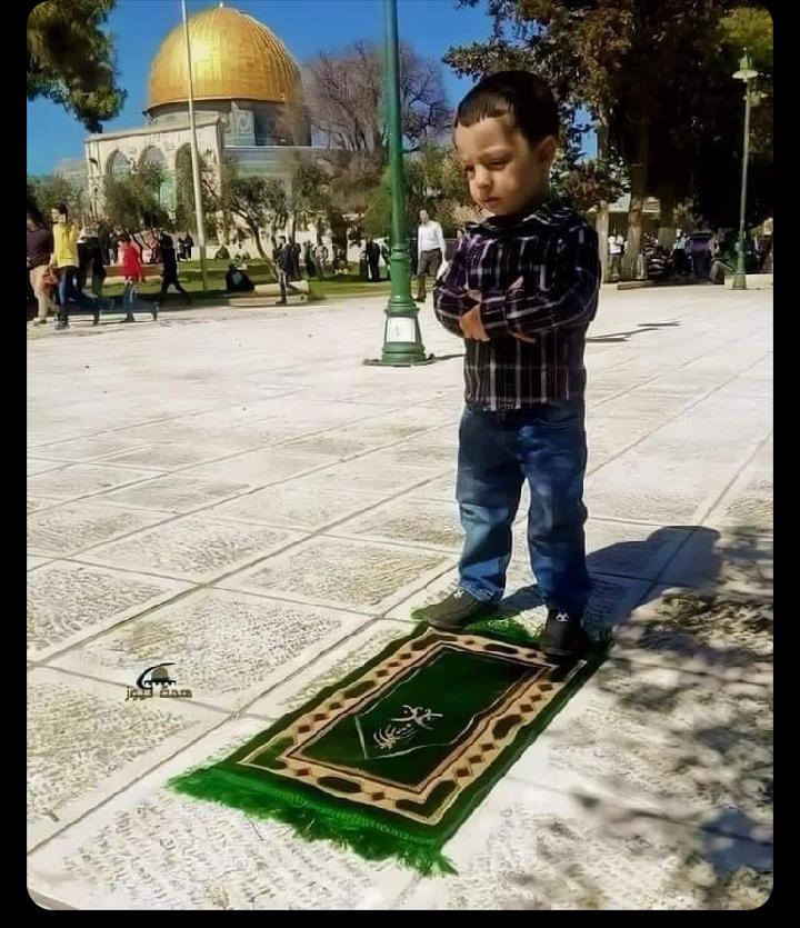mspakistani4's tweet photo. ��ارة من ذهب وأخرى من فضة، وحينا من معادن اقل غلاءً. مكتفين "بسحر الرمز" وألوان العلم الأربعة.
أنور حامد, يافا تعد قهوة الصباح
#PakWithGaza
#مستشفى_المعمداني #مجزرة_مستشفى_المعمداني #hospital #IsraelTerorrist #Ababeel https://t.co/EEBmz1sVwi