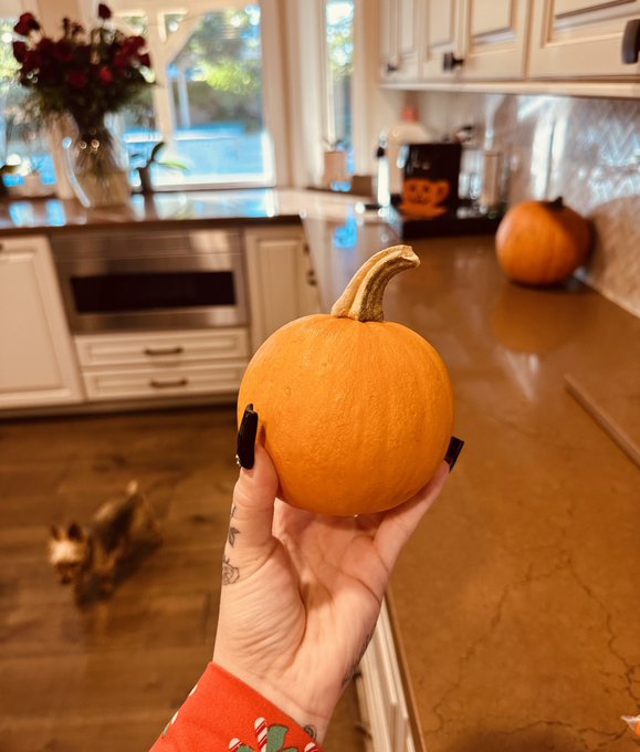🎃🍪🎥🧡 https://t.co/Y79ZfxY51x
