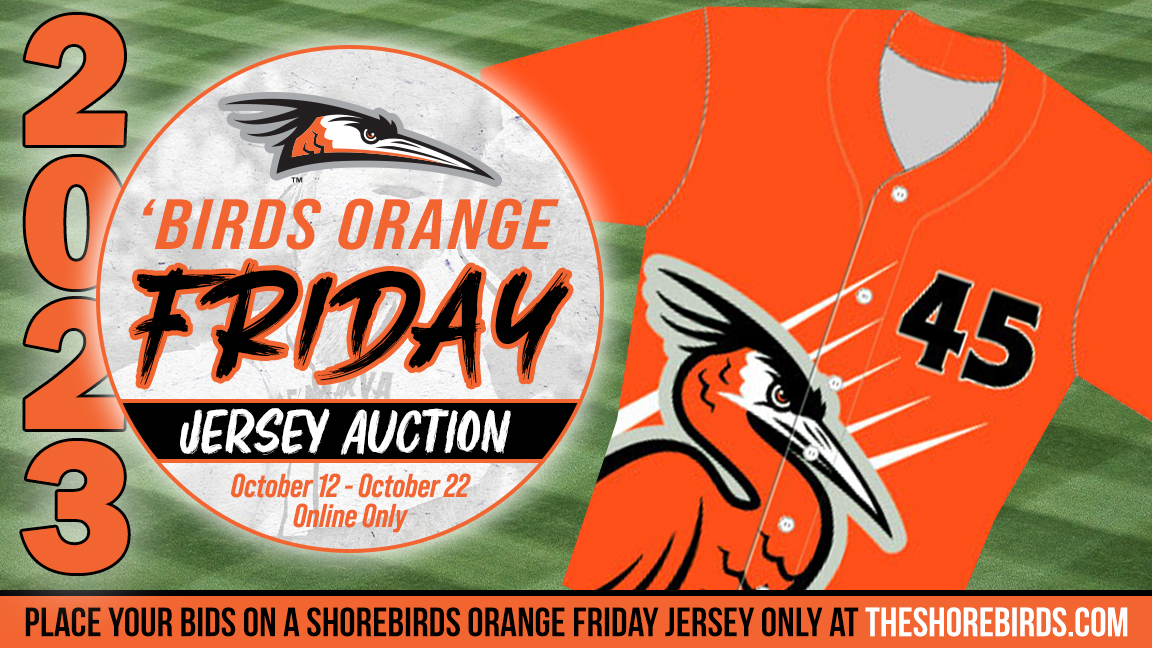 Delmarva Shorebirds on X: Bidding on the Shorebirds special