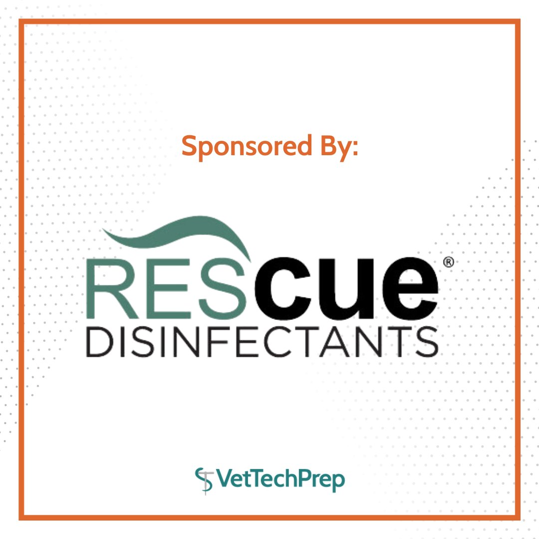 VetTechPrep's tweet photo. Last call to join us tonight for our VTNE trivia night at 7:30pm CT! Test your VTNE knowledge and prepare for your exam in an entertaining way! Plus, get the chance to win some amazing prizes! Sponsored by Rescue Disinfectants, Vetoquinol, and Chewy! https://t.co/JYXbnJkezb https://t.co/SWSLl6D3CD