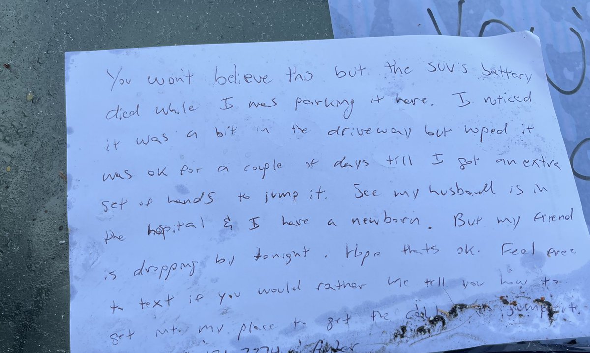 amber rollo tweet media