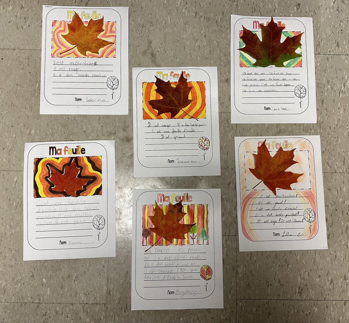 Megan Redick tweet media