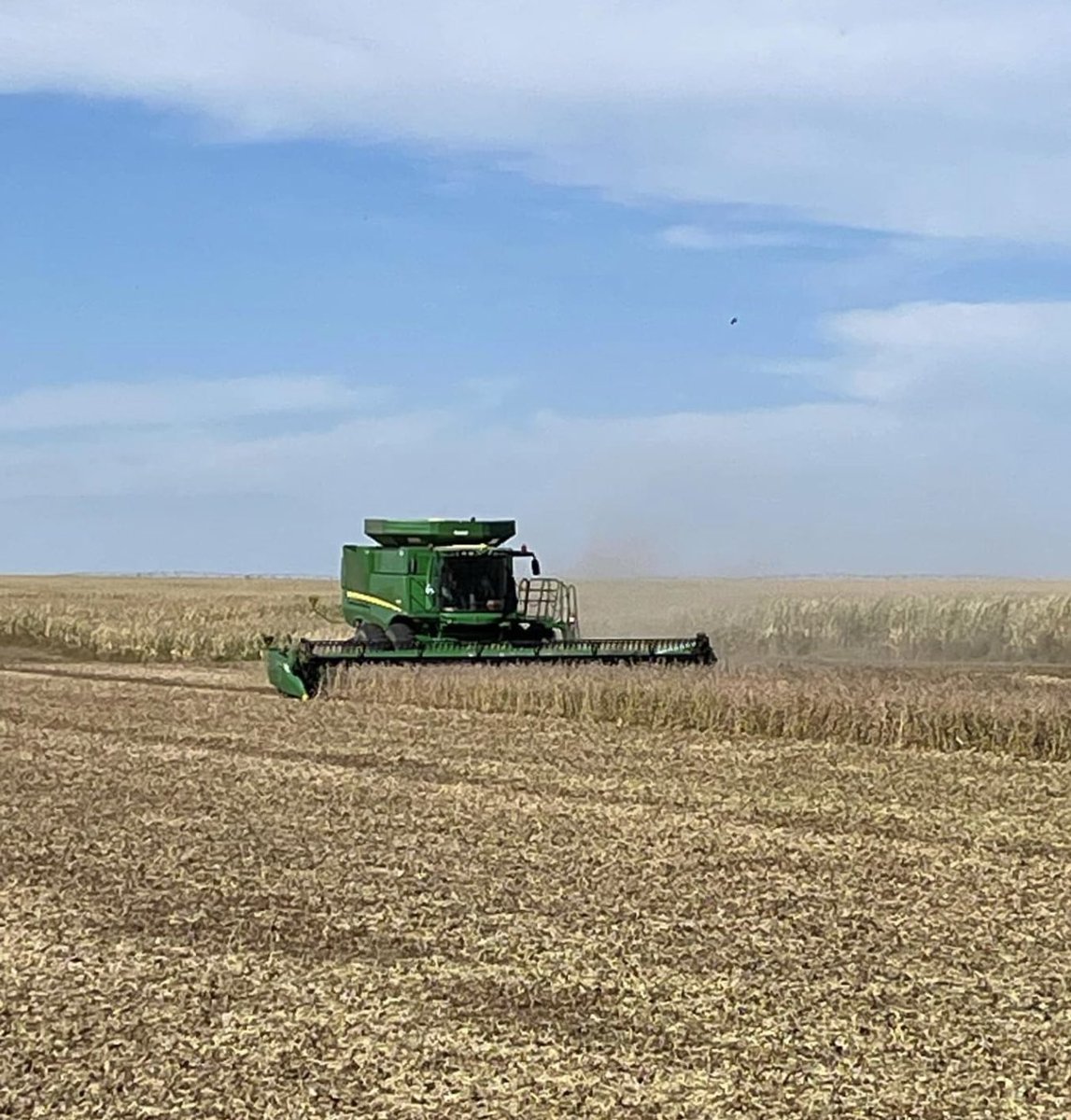 Herrick_Ag's tweet photo. 2023 bean harvest ✔️ in the books! https://t.co/vEcPneNgxl