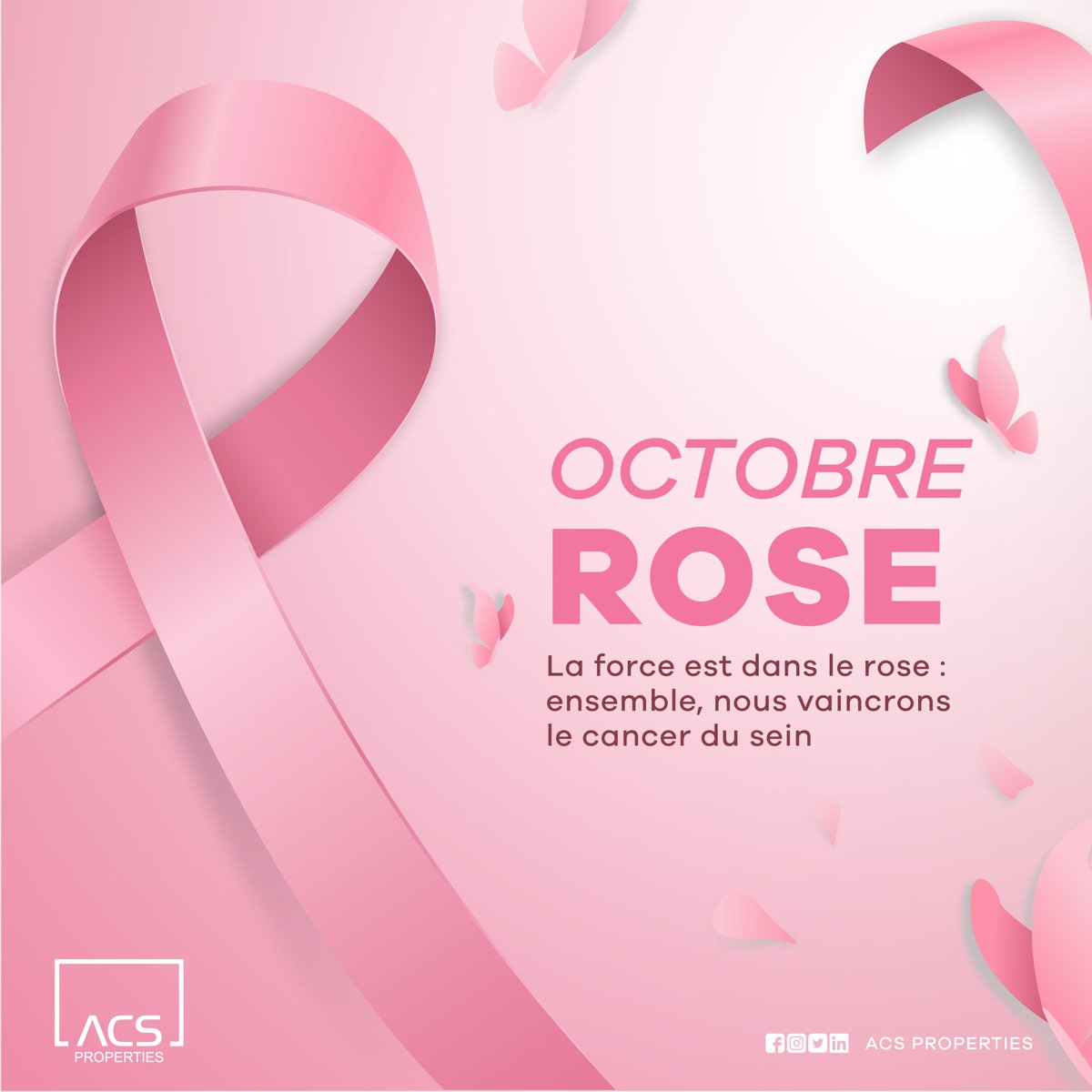 La force est dans le rose : ensemble, nous vaincrons le cancer du sein
#ACSProperties #octobrerose #cancerdeseins #sensibilisation