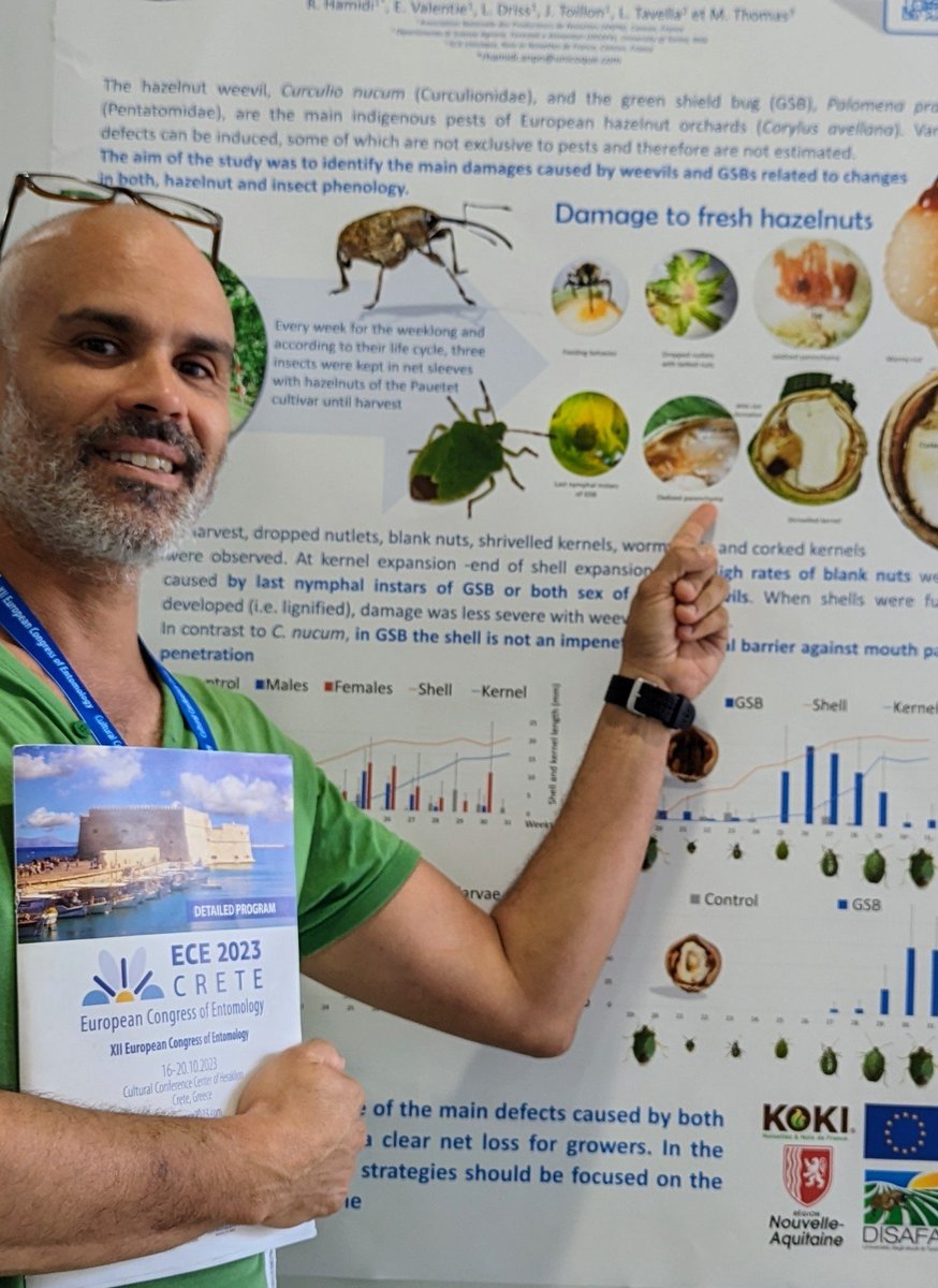 Rachid Hamidi tweet media