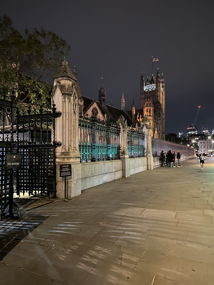 Plenty of research needed & lots to achieve to make evidence based quality healthcare accessible to all. But we are getting there & we will continue with efforts until we achieve our goals. Thank you everyone who came to Parliament for Menopause - Life and Work event yesterday