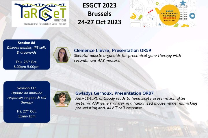 TaRGeT Lab tweet media