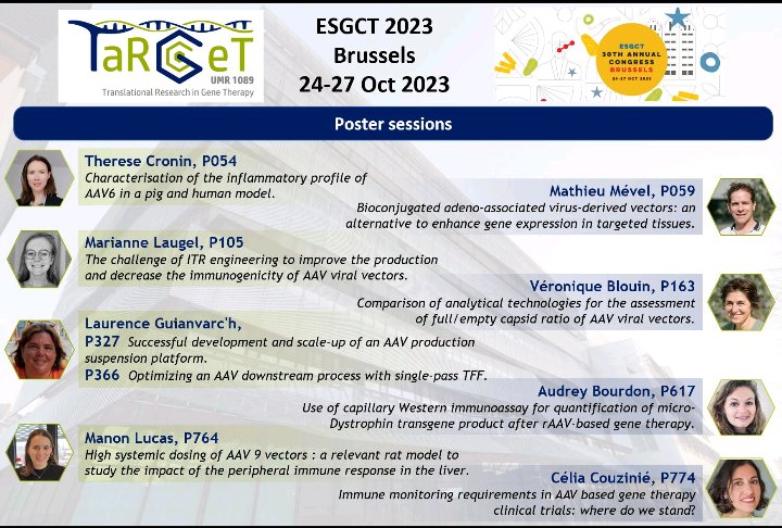 📢 TaRGeT will be attending the <a href="/ESGCT/">ESGCT</a> symposium in Brussels from October 24th to 27th. Oral presentations by <a href="/ClemenceLievre/">clemence lievre</a> and <a href="/GwladysGernoux/">Gwladys</a> and 9 posters! Check out our program below ⬇️
#ESGCT2023