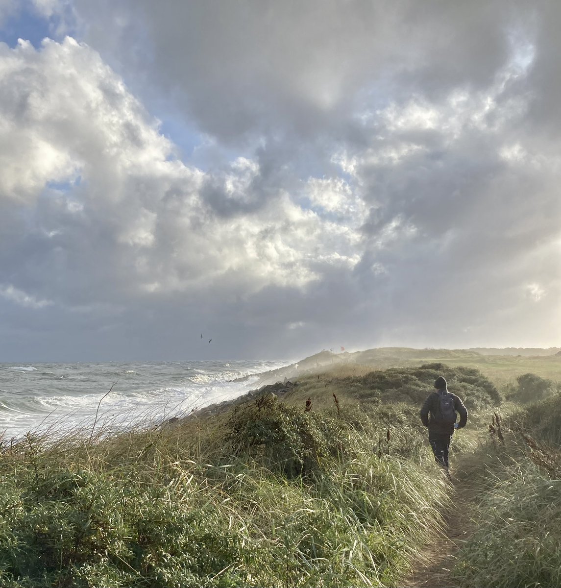 ErikaGlenday's tweet image. Waiting for the storm. Meanwhile #himself