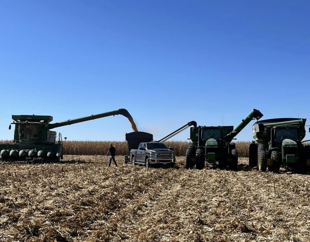 Herrick Ag’s 2023 <a href="/BecksHybrids/">Beck's Hybrids</a> corn plot numbers are in! 🌽👇🏻 (When hauling to the bins- you gotta do what you gotta do!)