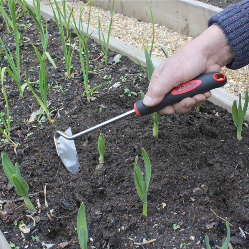 mrfothergill's tweet photo. 🧰 50% OFF DARLAC TOOLS ALL THIS MONTH 🧰
Shop & save across a range of @Darlacgardening tools and get 50% off for the rest of October! Simply quote code DARLAC50 at the checkout.
Check out what's on offer:
https://t.co/SBLaNSUvsz
#darlac #darlactools #gardeningsale #gardentools https://t.co/egBpdtOD2m
