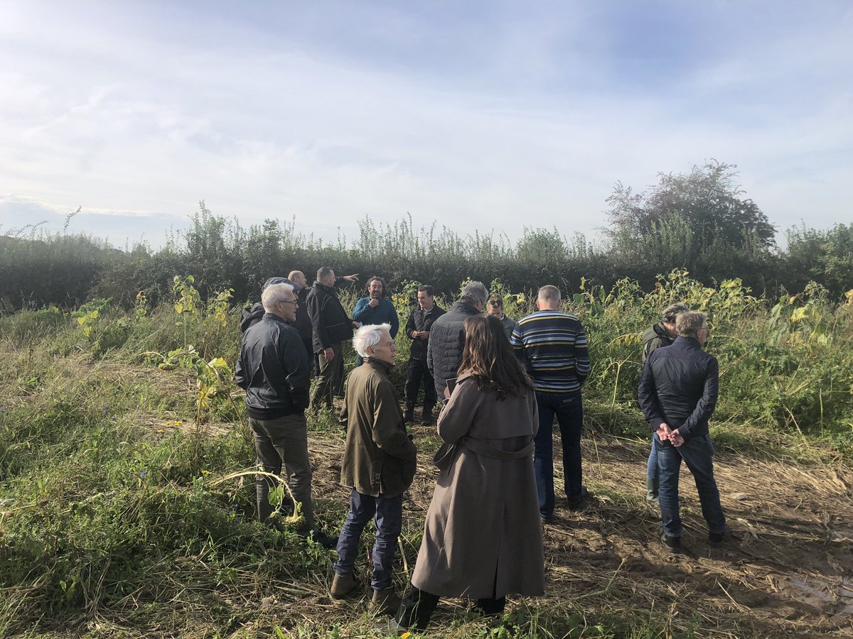 Vandaag onze ervaringen kunnen delen met Collectief Deltaplann die de Maasheggen versterken. Een groot deel van de oplossing in de biodiversiteitscrisis is systeemherstel. Rendabele teelten die bij 't landschap passen en minimaal 10% groenblauwe dooradering. @PARTRIDGE_NSR