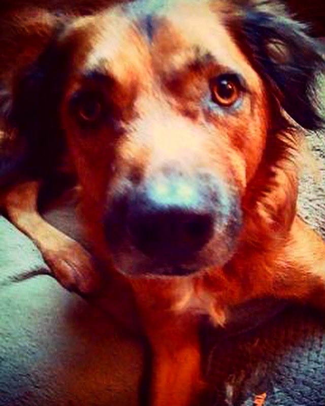 Sage Ravenwood tweet media