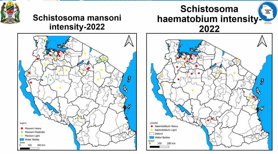Moving to 🇹🇿 <a href="/KabonaGeorge/">George Kabona</a> MoH Tanzania speaks about the #Schistosomiasis Impact Assessment in Tanzania, fr surveying 5 destricts in 2021 to completing the survey for all 102 in the future, the challenge of financing &amp; fine-tuning methodology of the impact assessments. #BeatNTDs