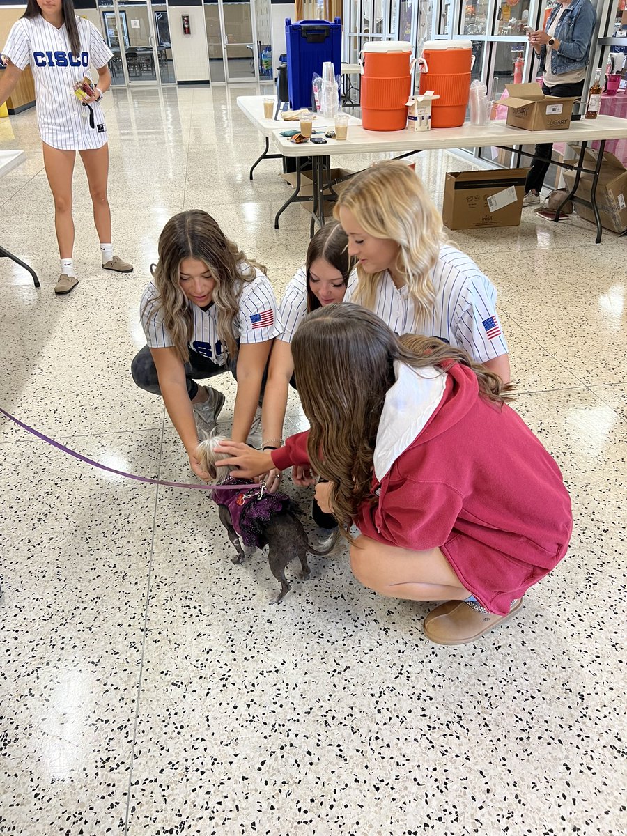 CiscoCollegeSB's tweet photo. Thank you Cisco College for putting together a mental health event for the students! Therapy dogs, free coffee and snacks, and even an art project! #GoWranglers https://t.co/GuUKcQv45u
