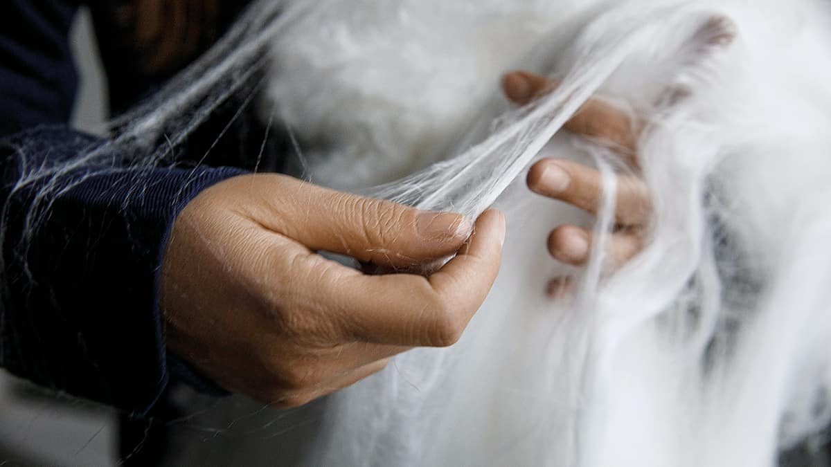 Once wood, now clothing? Using 99.5% less water and 74% less CO2 emissions, Finnish start-up Spinnovas new wood pulp fibre clothing provides a #sustainable alternative for the fashion industry. Find out all the details here: physicsworld.com/a/spinning-a-s…