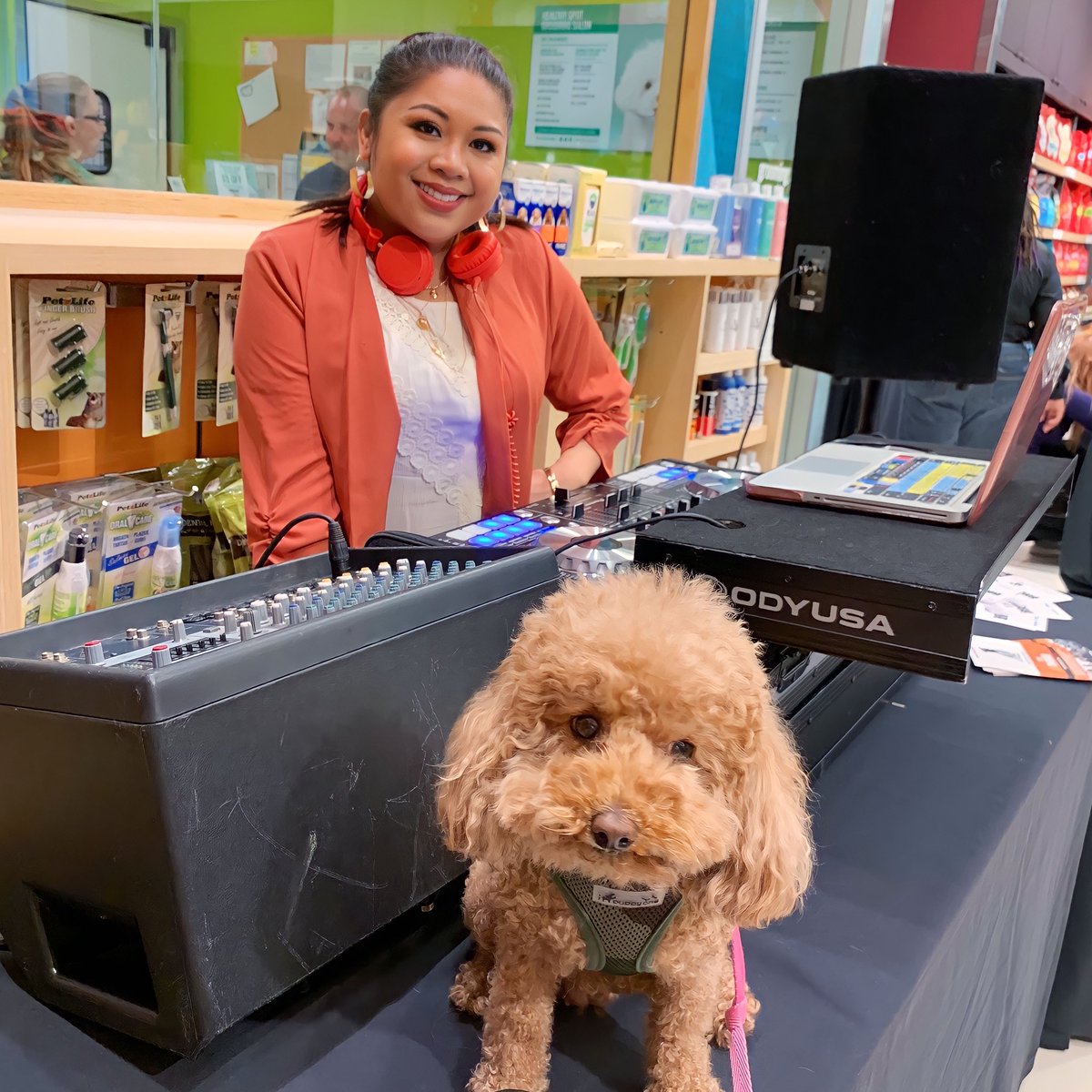 DJing for dogs— the perfect client DOES exist! 🐾😍🐶 @healthyspot