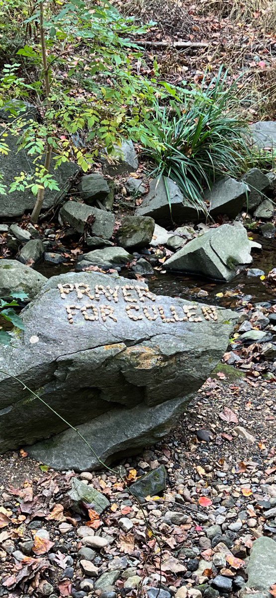 Every day someone leaves a positive message on this boulder in our neighborhood park. This was here this morning. Thank you, neighbor, for your compassion. It might be a small act of kindness but it means the world to us. #PrayerforCullen #TeamCullen