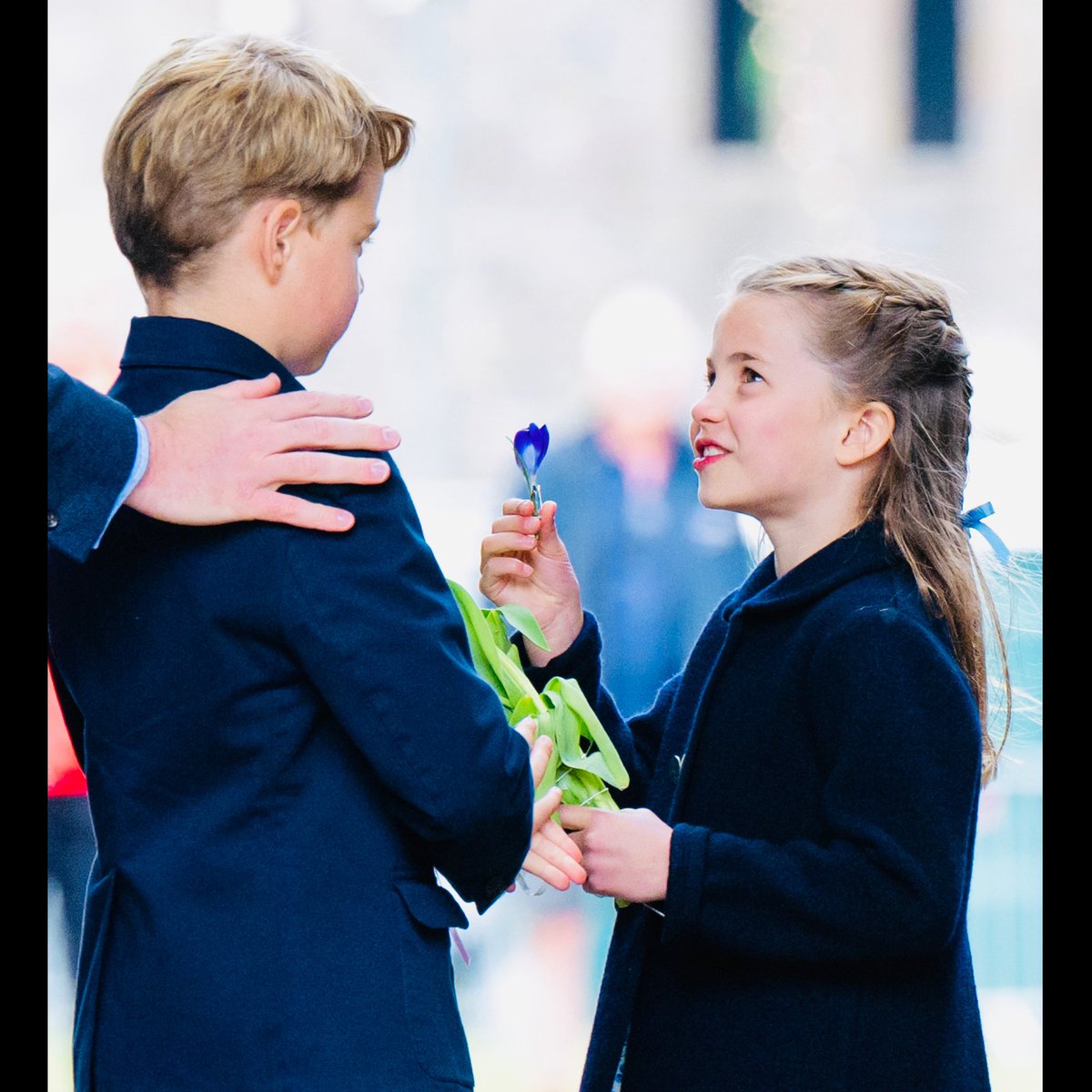 Samir Hussein tweet media