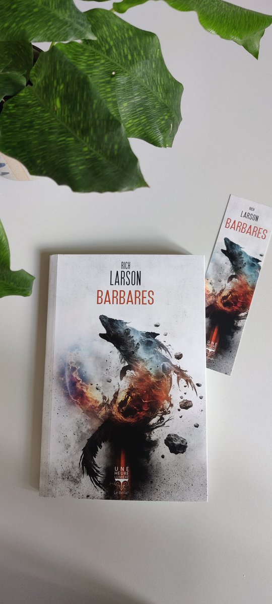 La jolie petite réception du jour !

Un grand merci à la Team Bélial', je me réjouis de lire ce titre !