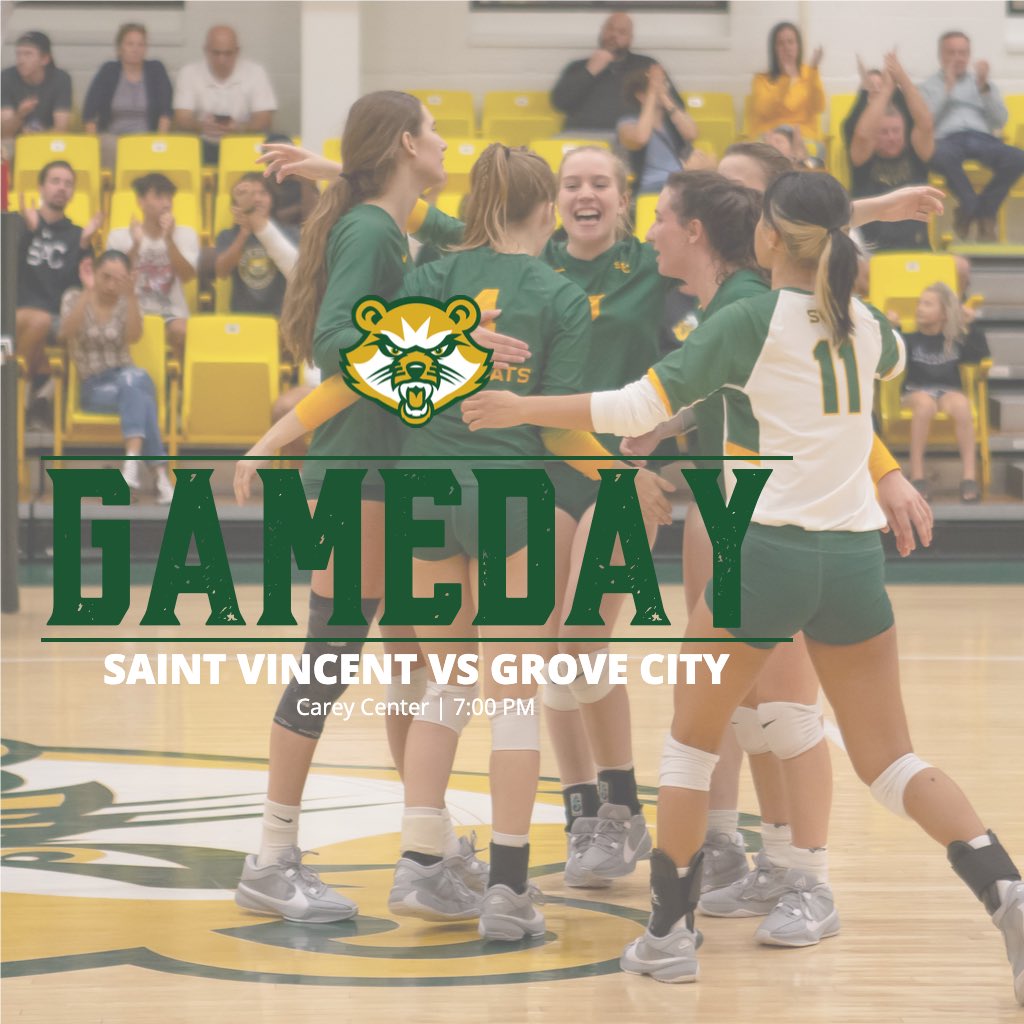 SVC Women’s Volleyball tweet media