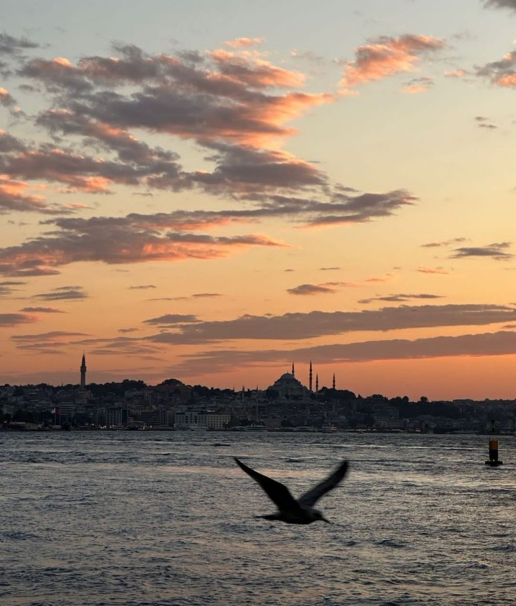 Aynı gökyüzünün altındayız halbuki,
Neden buradaki çocuklar oyun oynarken, oradaki çocuklar ölüyor!
Neden buradaki caddeler temiz kokarken oradakiler kan kokuyor!
Neden buradaki ağaçlar meyve verirken oradakiler kuruyor!
Neden insanlar ölüyor da insanlık susuyor!
