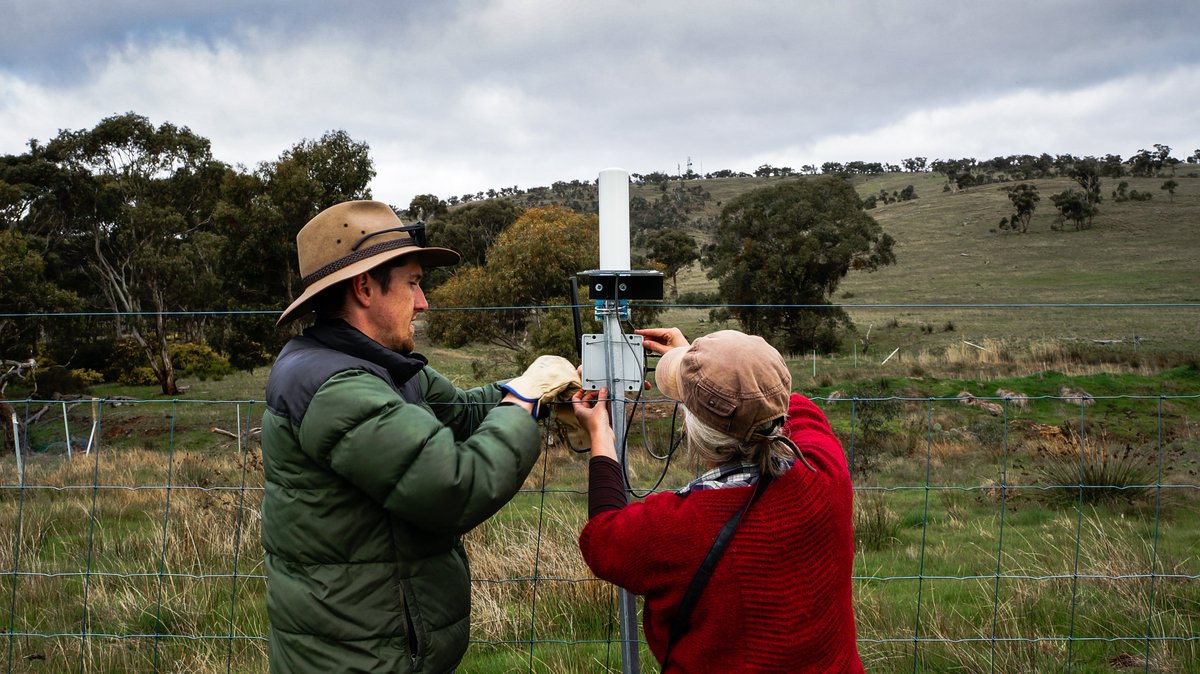 For the past three years, we've been working on a three way collaboration between <a href="/BushHeritageAus/">Bush Heritage</a> , the soil science department at <a href="/MonashUni/">Monash University</a>  in Melbourne, and ourselves (FreakLabs).

The project is called Baseliner because we're trying to collect baseline parameters of
