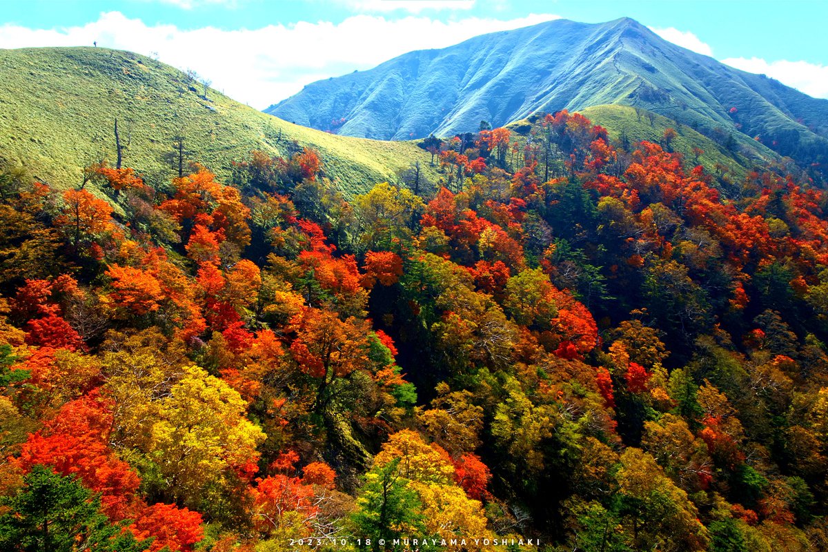 本気を出した剣山の紅葉🍁が最高すぎた！！！

#ファインダー越しの私の世界 ⁡
⁡#写真撮ってる人と繋がりたい
#四国の本気 #徳島 #紅葉 #絶景