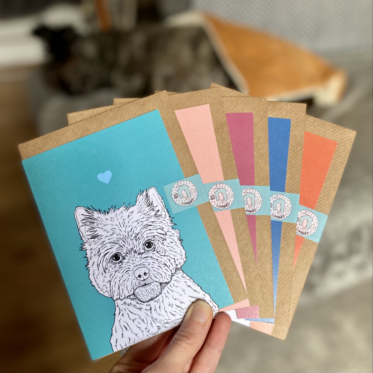 OldManGrey tweet media