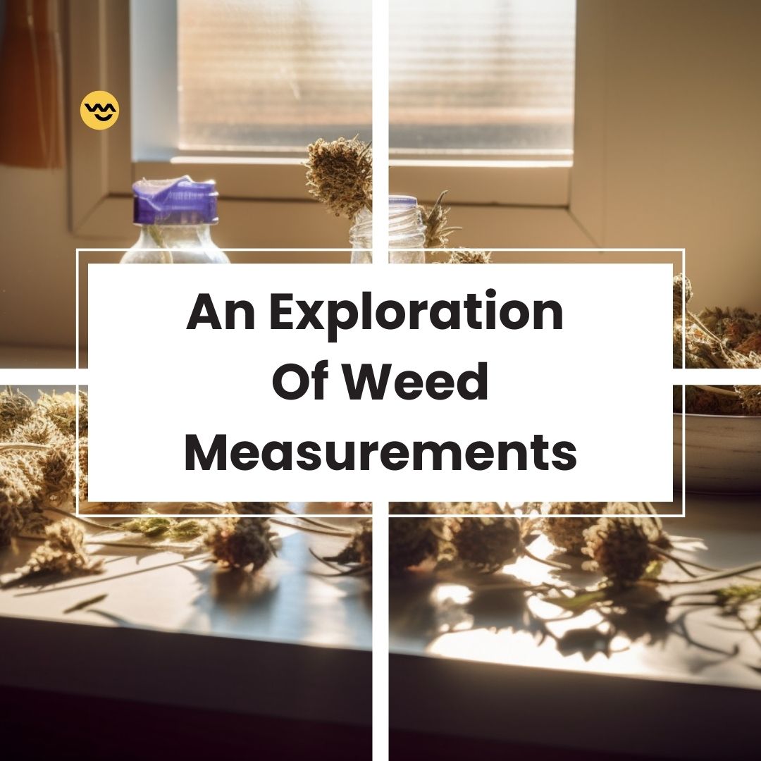 LeafyMate's tweet image. Grams, ounces, or more? 🌿 Join us on an exploration of weed measurements and become a connoisseur of cannabis quantities.

#CannabisMeasurements #WeedKnowledge