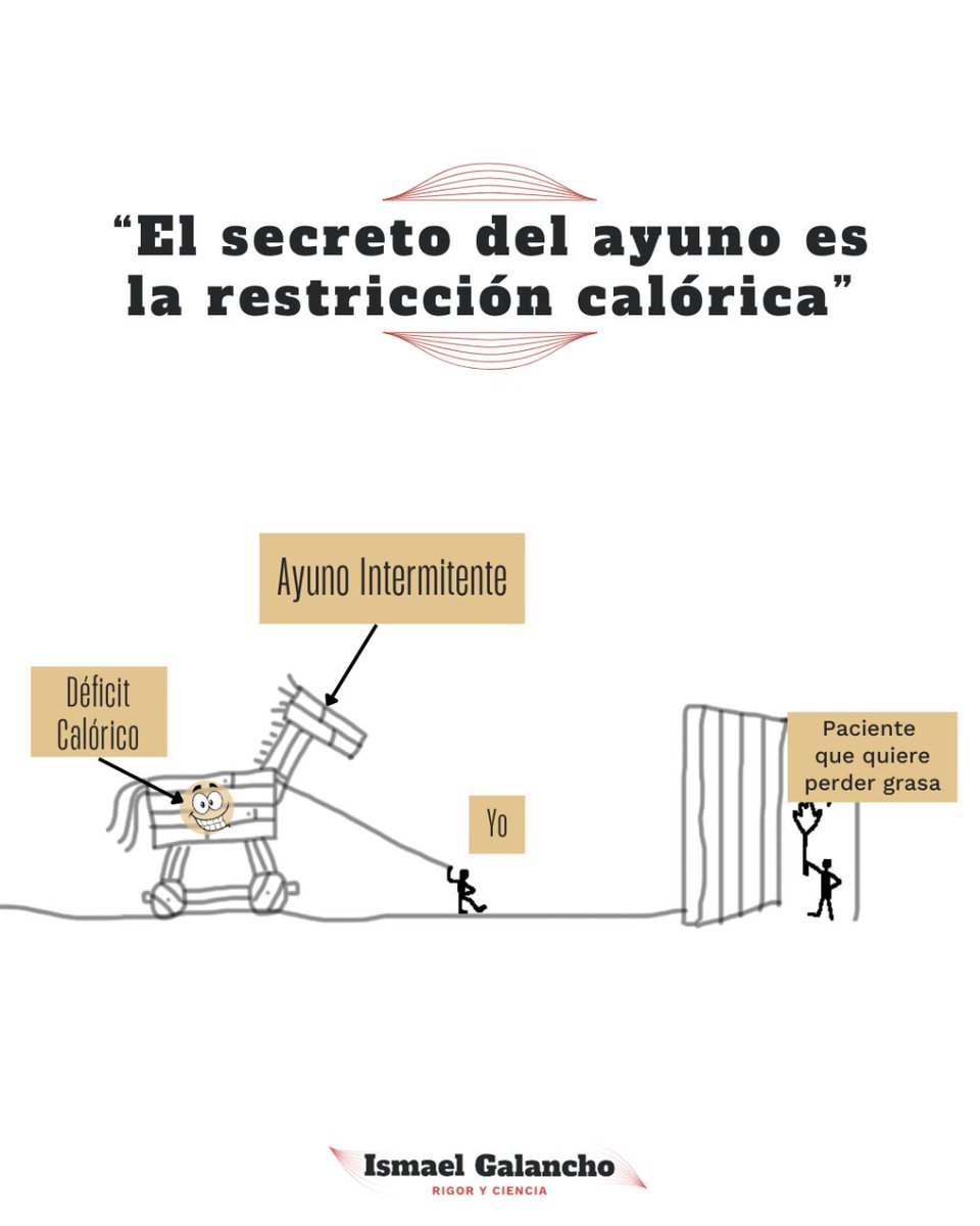 A día de hoy, la evidencia científica es contundente a la hora de mostrar que el mecanismo por el cual el ayuno intermitente nos puede hacer perder peso, es porque nos induce de manera indirecta un déficit energético.