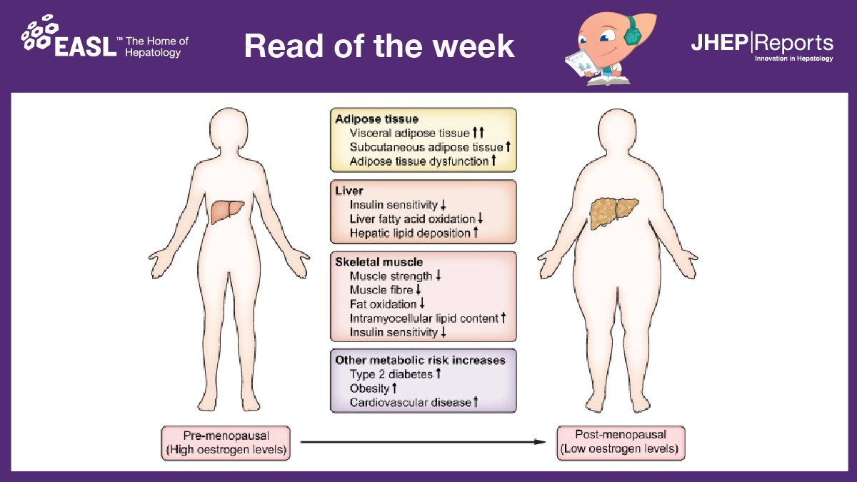 The authors in today’s #readoftheweek📚 raise awareness of #NAFLD in women and highlight areas for future research to address gaps in the understanding of its pathophysiology that will hopefully lead to improvements in the clinical management of this complex condition.

Read here