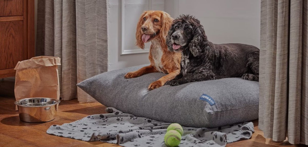 As a family-focused hotel, <a href="/theickworth/">The Ickworth Hotel</a> are firm believers that dogs should get to enjoy a memorable stay too!

With their Waggy Tails Break, every member of the family is guaranteed to have a great time... 

visit-burystedmunds.co.uk/offers/waggy-t…

#BuryStEdmundsAndBeyond #DogFriendlyBSE