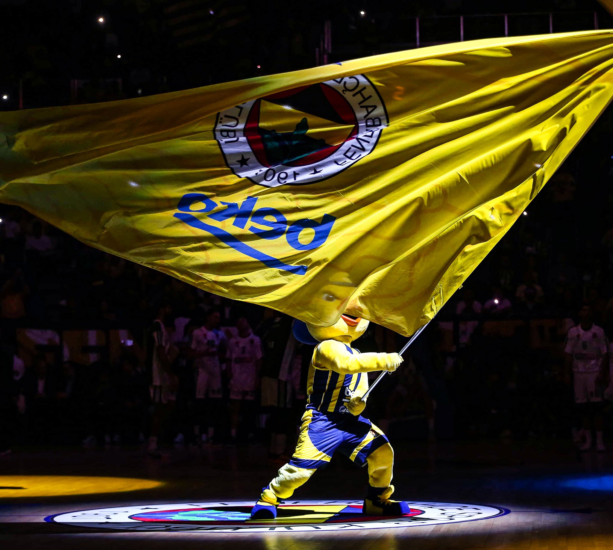 fenerbahçe ülker arena