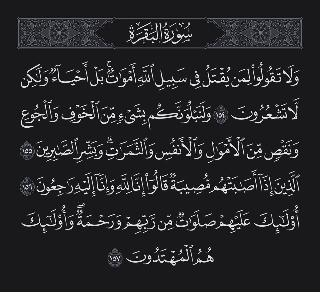 3SAQER0's tweet photo. https://t.co/nDxNvPsgJv