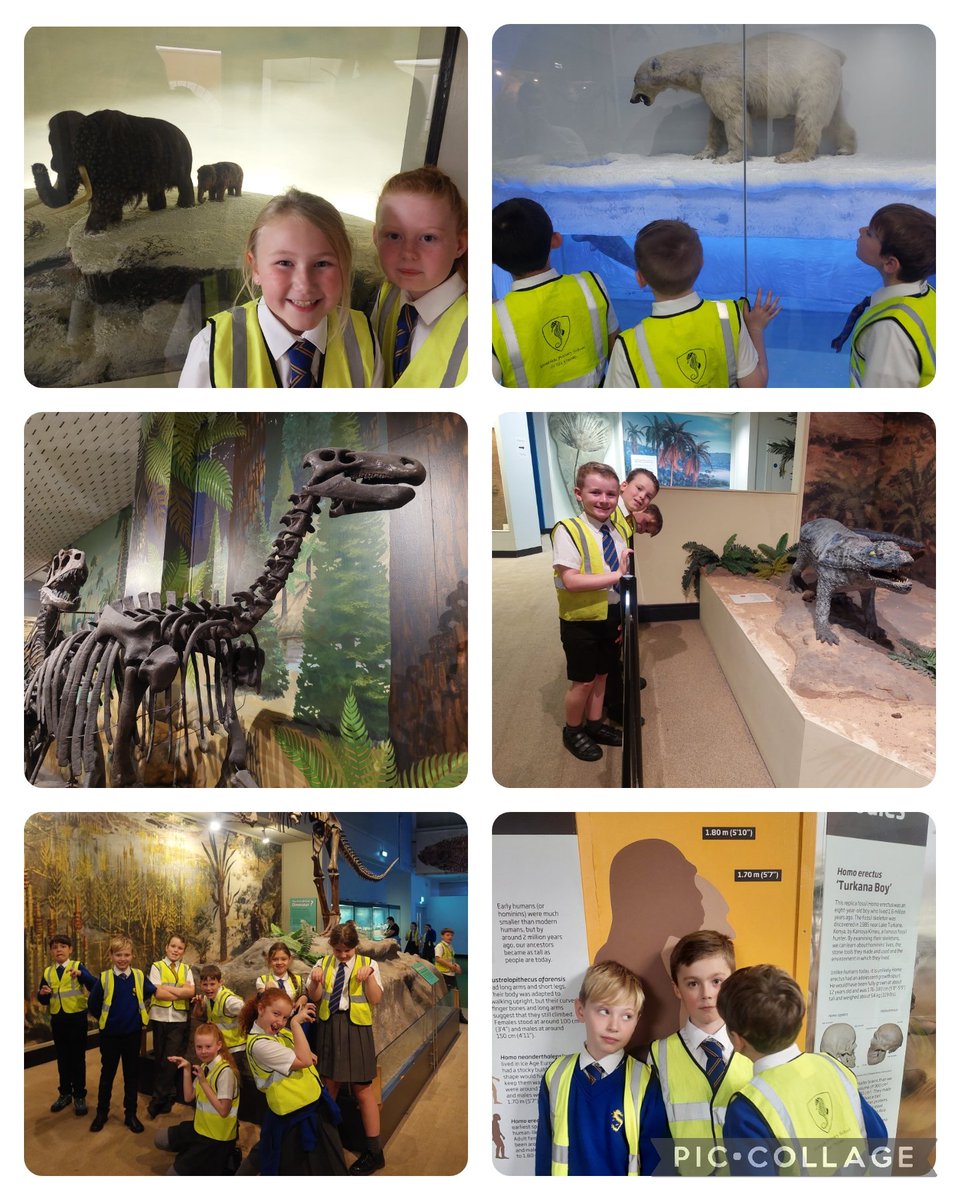 Mrs Lambert REMAT tweet media