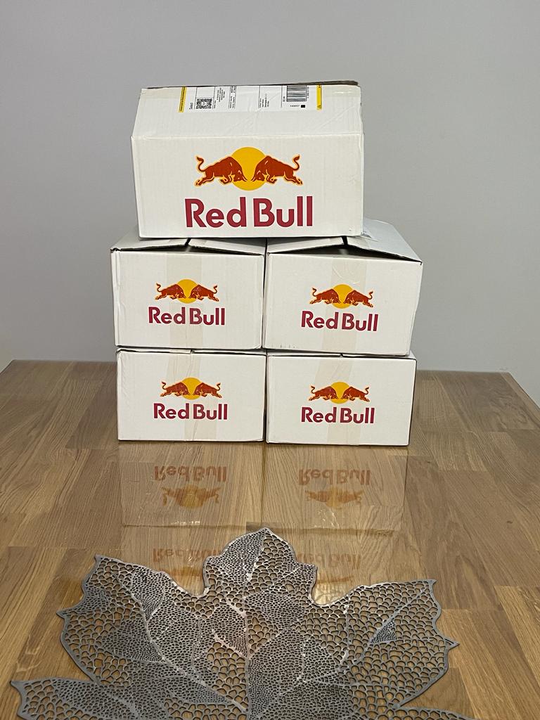 .@redbullAustria ist offizieller kanaxfive unterstützer für die vulkanlan 2023! 🥰 (nichts ist offiziell die haben uns nur redbull geschickt das sind kings)