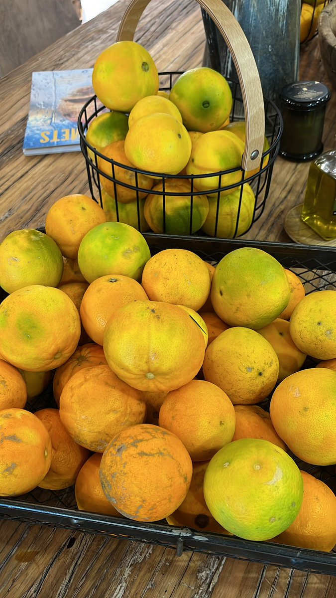 Natural 🌱🍊
#balares