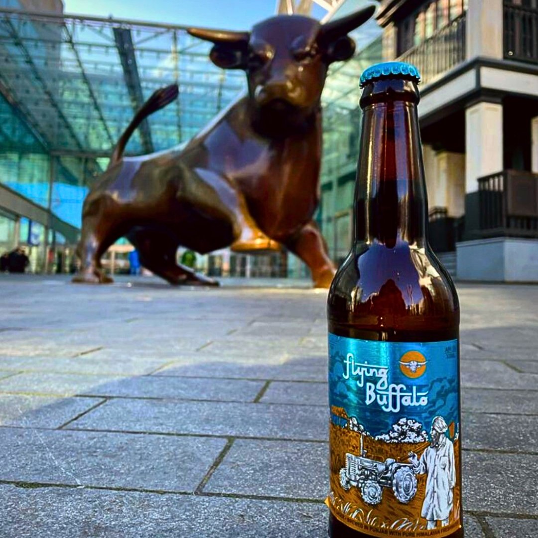 Flying Buffalo (@flyingbuffalouk) on Twitter photo Flying Buffalo Meets Birmingham's Famous Bull ๐บ๐
Our authentic Indian lager is being enjoyed all over the World but Brum has a special place in our hearts... ๐๐งก
Keep tagging us in your FB snaps! ๐
๐ฑ 0800 688 9808
๐ง sales@flyingbuffalo.co.uk
๐ linktr.ee/flyingbuffalo Flying Buffalo Meets Birmingham's Famous Bull ๐บ๐
Our authentic Indian lager is being enjoyed all over the World but Brum has a special place in our hearts... ๐๐งก
Keep tagging us in your FB snaps! ๐
๐ฑ 0800 688 9808
๐ง sales@flyingbuffalo.co.uk
๐ linktr.ee/flyingbuffalo