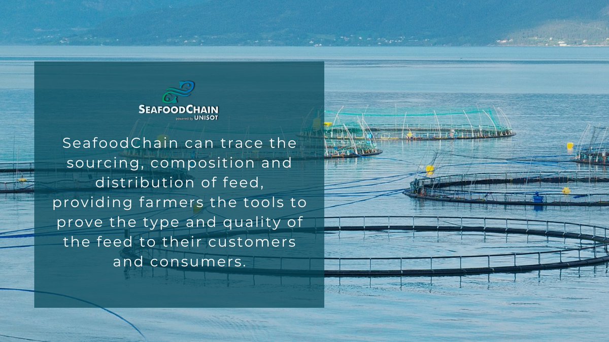 SeafoodChain (@seafoodchain) on Twitter photo 