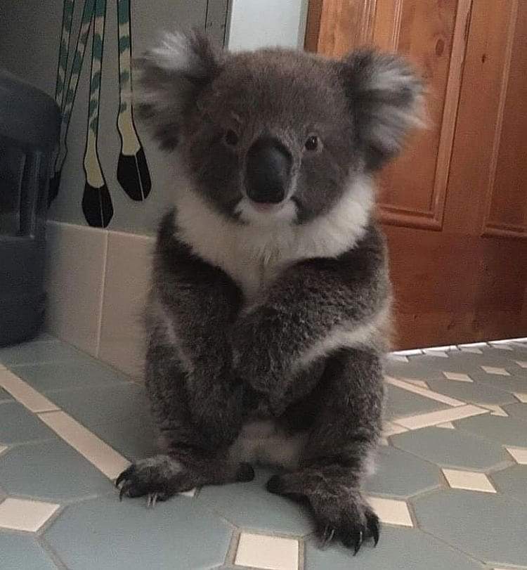 If You're a huge fan of mine
can I get a big YESS !!